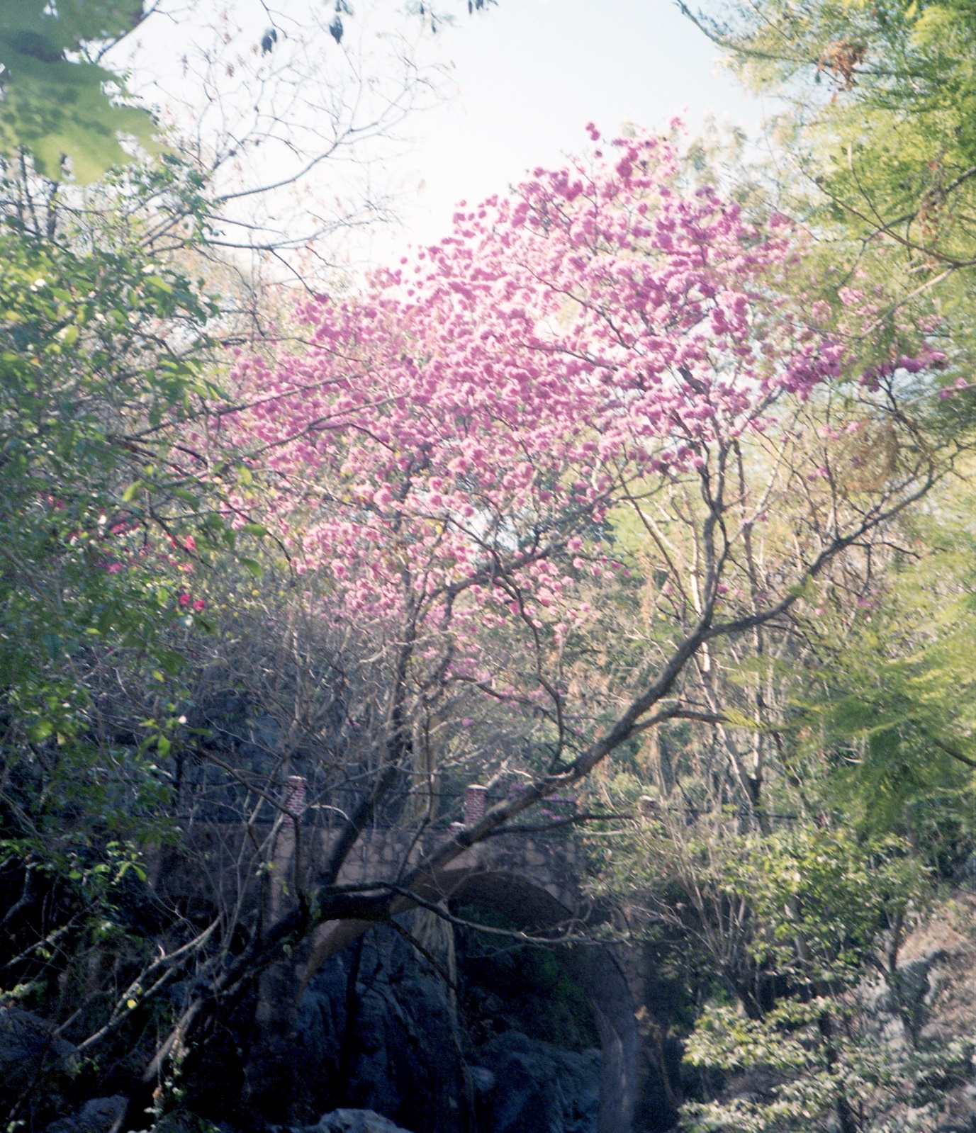 19961201 005   Taxco La Grutas   Mexico Film 02 Fnr 009